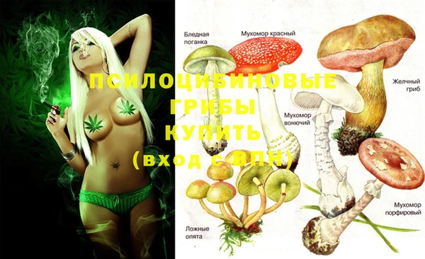 MESCALINE Баксан